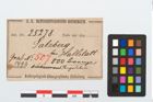 Etikett zu Bronzeperlenkette (NHMW-PRAE-025278)